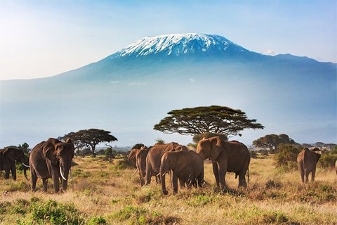 Image of Amboseli National Park