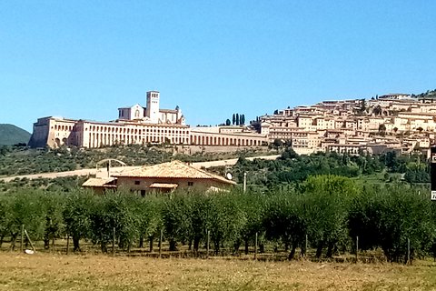 Image of Assisi 