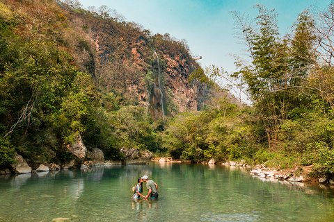 Image of Bonito