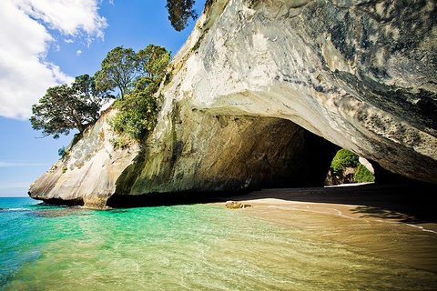 Image of Coromandel