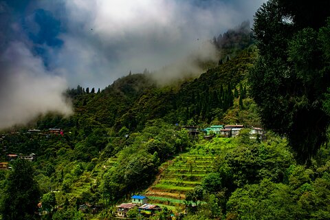 Image of Darjeeling