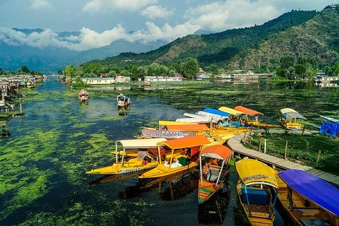 Image of Srinagar