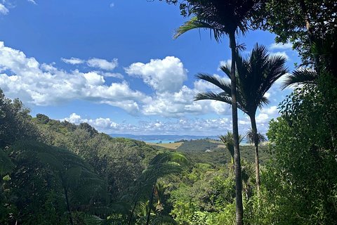 Image of Waiheke-eiland