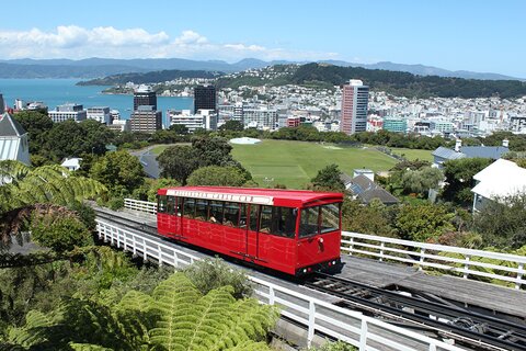 Image of Wellington